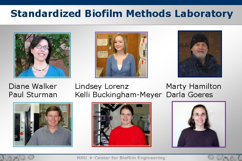 Standardized Biofilm Methods Laboratory Diane Walker Paul Sturman Lindsey Lorenz Marty Hamilton Kelli Buckingham-Meyer