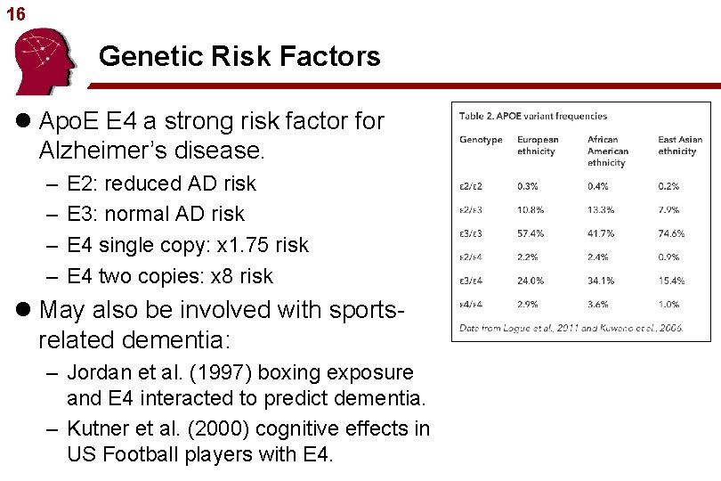 16 Genetic Risk Factors l Apo. E E 4 a strong risk factor for