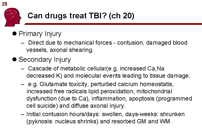 20 Can drugs treat TBI? (ch 20) l Primary Injury – Direct due to