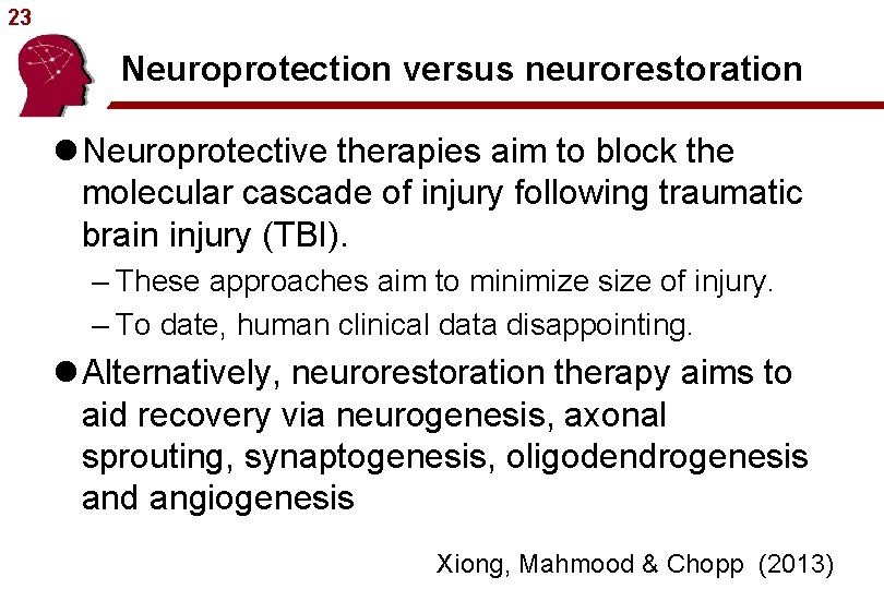 23 Neuroprotection versus neurorestoration l Neuroprotective therapies aim to block the molecular cascade of