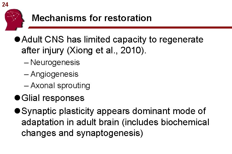 24 Mechanisms for restoration l Adult CNS has limited capacity to regenerate after injury
