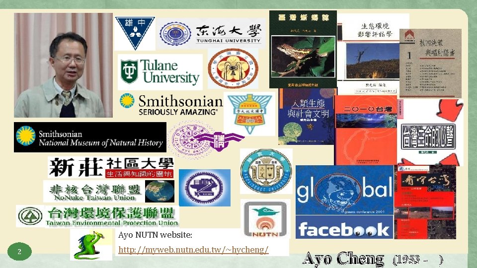 Ayo NUTN website: 2 http: //myweb. nutn. edu. tw/~hycheng/ Ayo Cheng (1953 - )