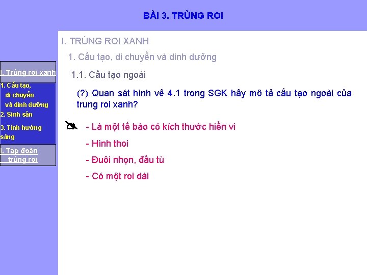 BÀI 3. TRÙNG ROI I. TRÙNG ROI XANH 1. Cấu tạo, di chuyển và