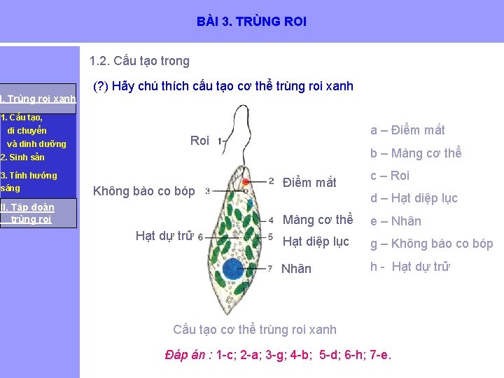 BÀI 3. TRÙNG ROI 1. 2. Cấu tạo trong (? ) Hãy chú thích