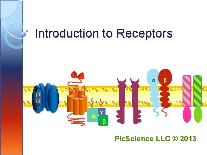 Introduction to Receptors a a b g b Pic. Science LLC © 2013 