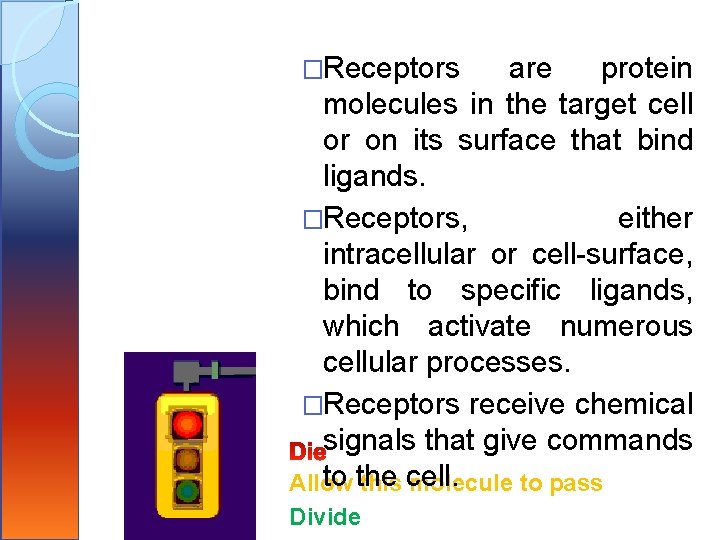 �Receptors are protein molecules in the target cell or on its surface that bind