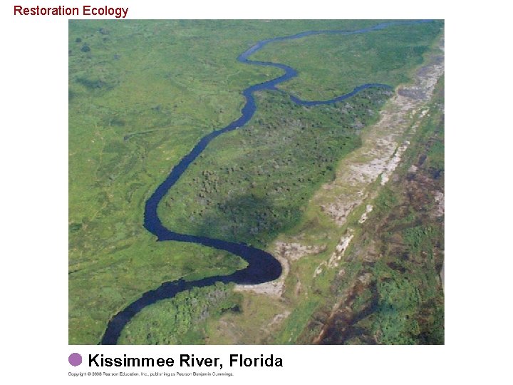 Restoration Ecology Kissimmee River, Florida 