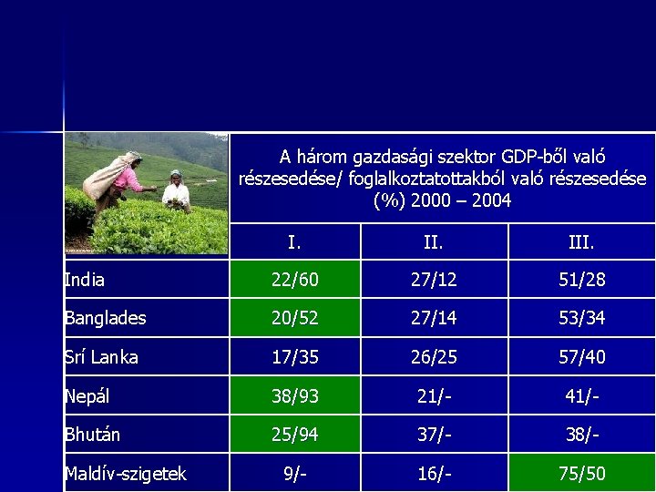 A három gazdasági szektor GDP-ből való részesedése/ foglalkoztatottakból való részesedése (%) 2000 – 2004 A három gazdasági szektor GDP-ből való részesedése/ foglalkoztatottakból való részesedése (%) 2000 – 2004