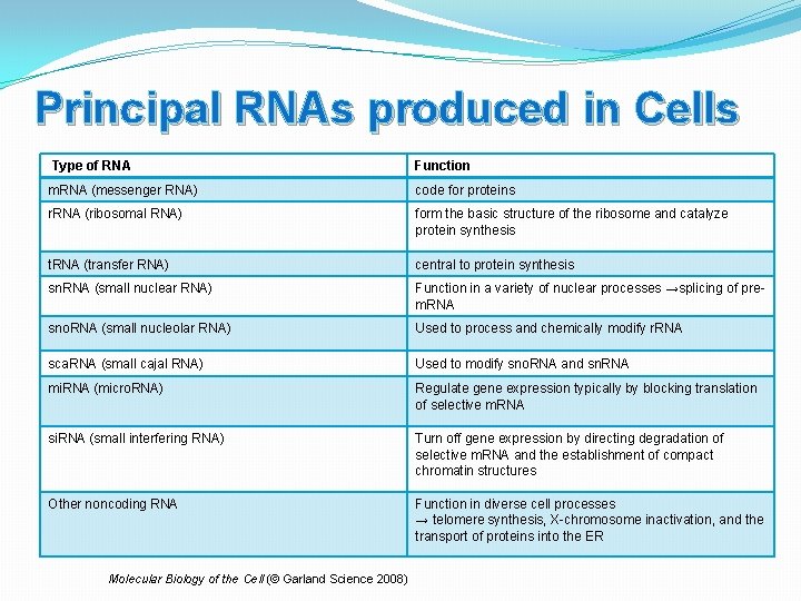 Principal RNAs produced in Cells Type of RNA Function m. RNA (messenger RNA) code