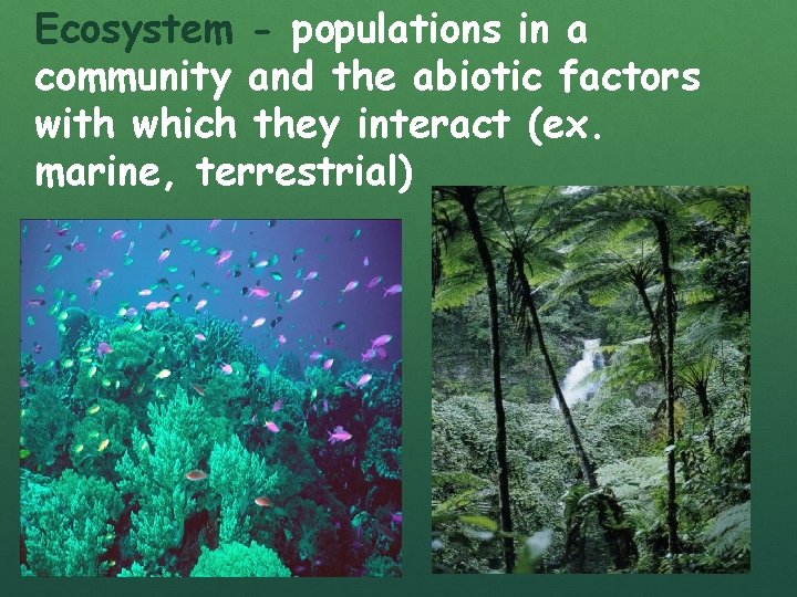 Ecosystem - populations in a community and the abiotic factors with which they interact