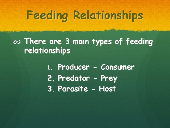 Feeding Relationships There are 3 main types of feeding relationships Producer - Consumer 2.