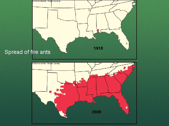 Spread of fire ants 1918 2000 