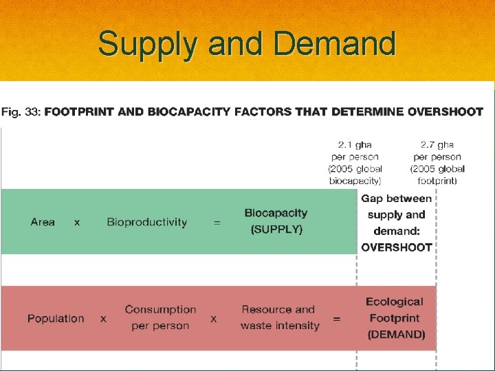 Supply and Demand 