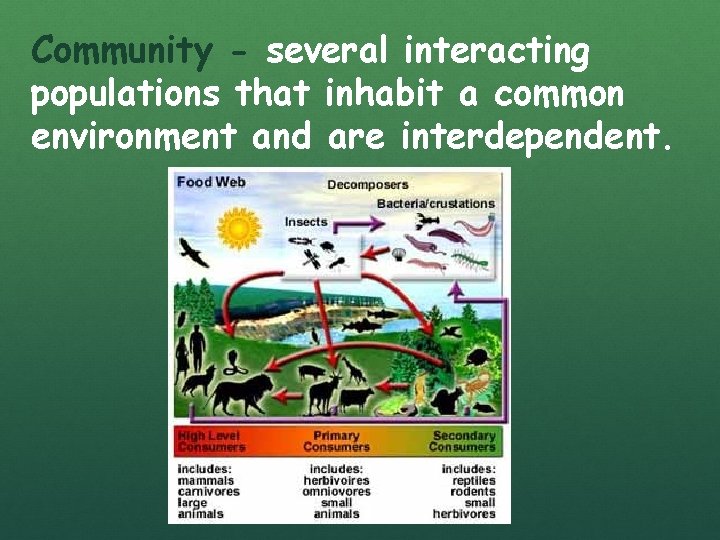 Community - several interacting populations that inhabit a common environment and are interdependent. 