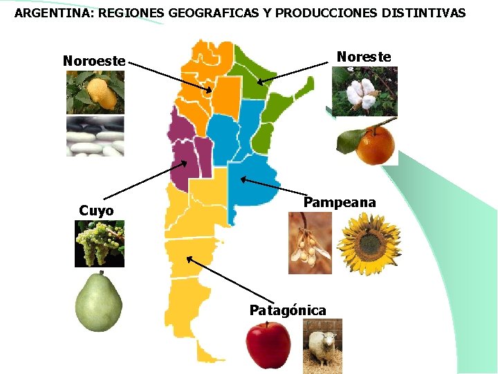 ARGENTINA: REGIONES GEOGRAFICAS Y PRODUCCIONES DISTINTIVAS Noreste Noroeste Cuyo Pampeana Patagónica 