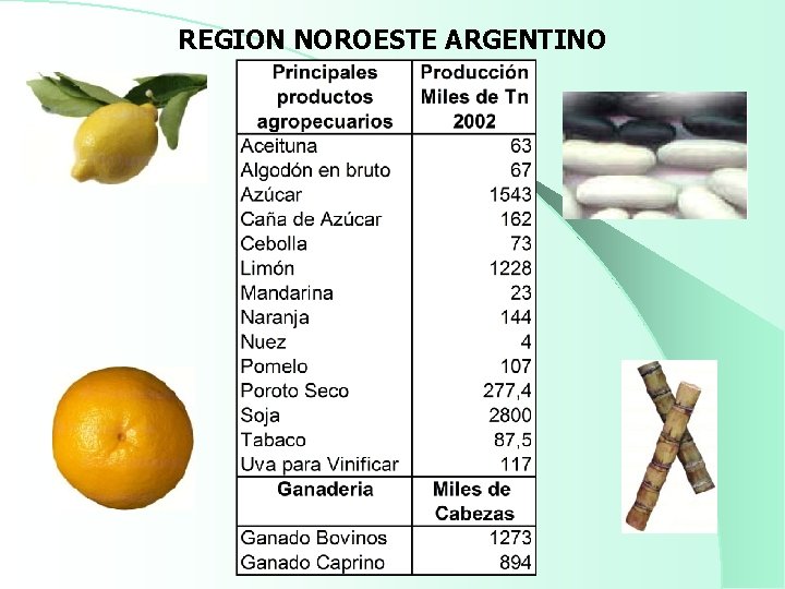 REGION NOROESTE ARGENTINO 