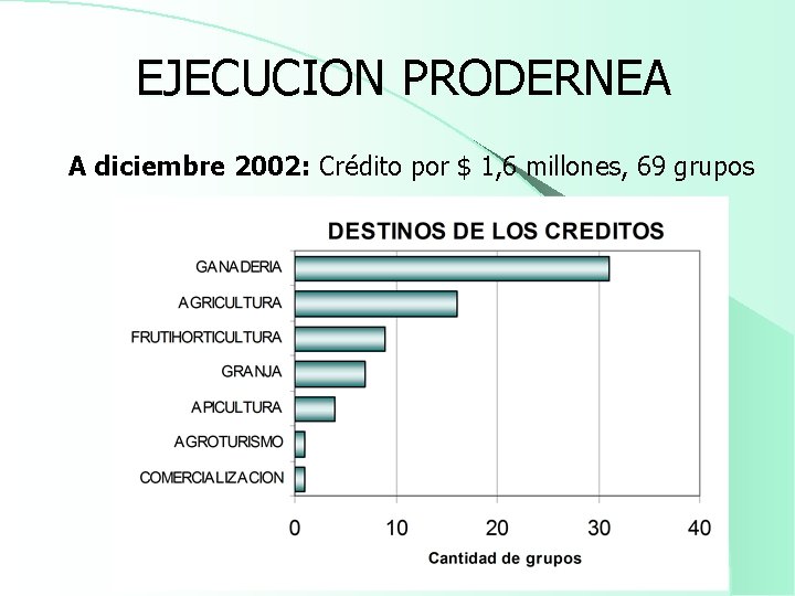 EJECUCION PRODERNEA A diciembre 2002: Crédito por $ 1, 6 millones, 69 grupos 