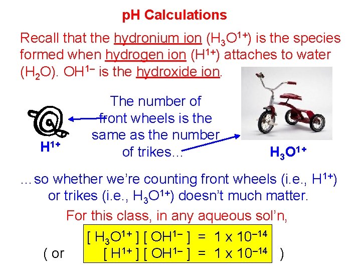 p. H Calculations Recall that the hydronium ion (H 3 O 1+) is the