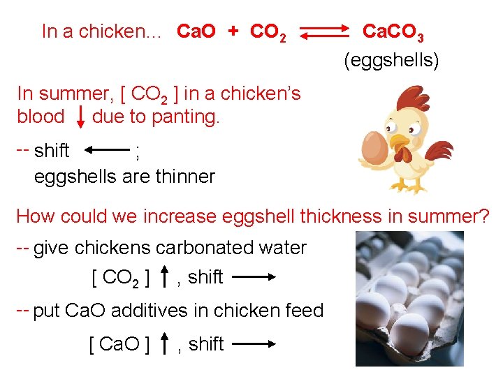 In a chicken… Ca. O + CO 2 Ca. CO 3 (eggshells) In summer,