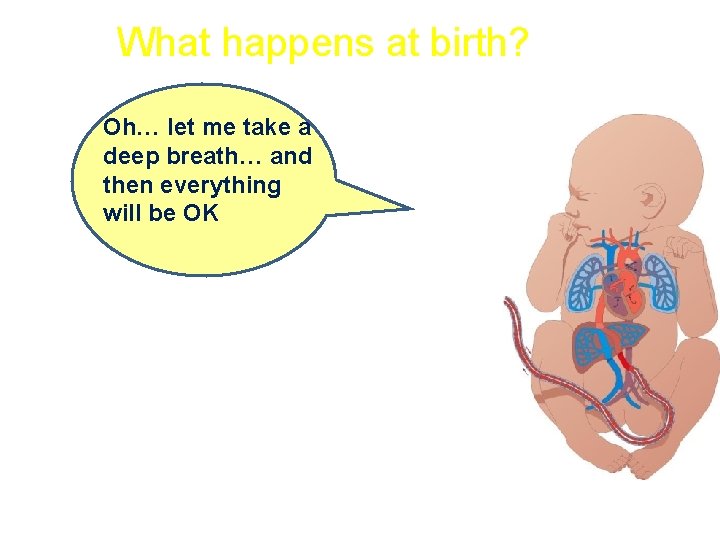 What happens at birth? Oh… let me take a deep breath… and then everything