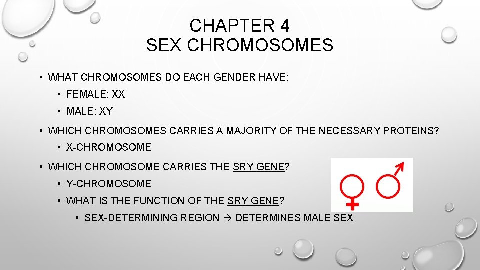 CHAPTER 4 SEX CHROMOSOMES • WHAT CHROMOSOMES DO EACH GENDER HAVE: • FEMALE: XX
