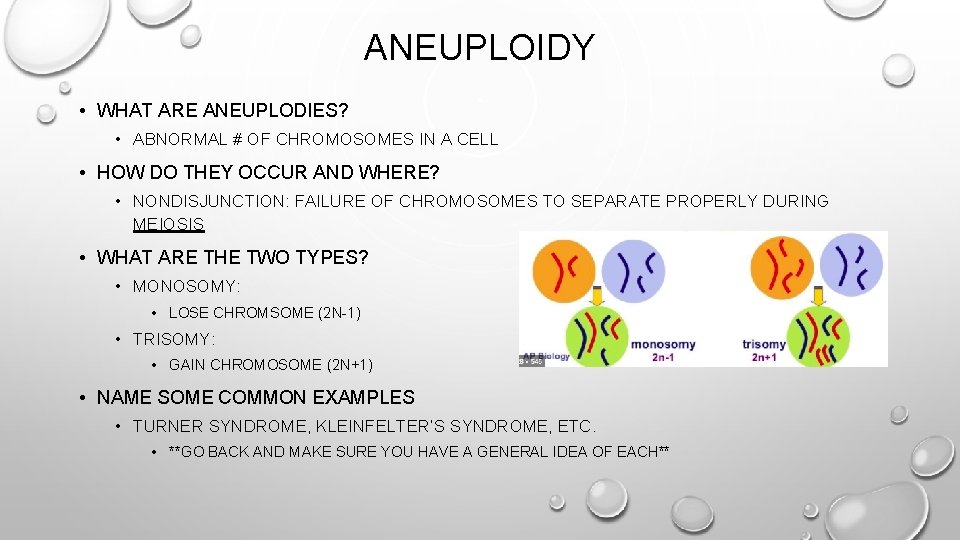 ANEUPLOIDY • WHAT ARE ANEUPLODIES? • ABNORMAL # OF CHROMOSOMES IN A CELL •