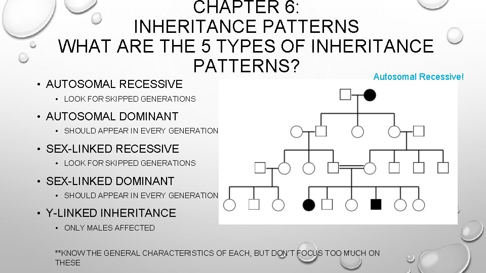 CHAPTER 6: INHERITANCE PATTERNS WHAT ARE THE 5 TYPES OF INHERITANCE PATTERNS? Autosomal Recessive!
