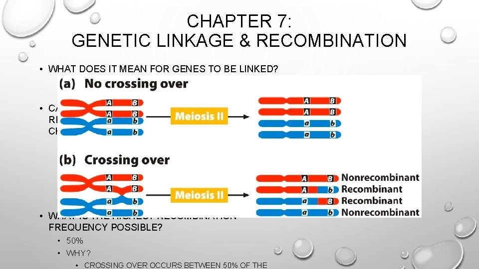 CHAPTER 7: GENETIC LINKAGE & RECOMBINATION • WHAT DOES IT MEAN FOR GENES TO