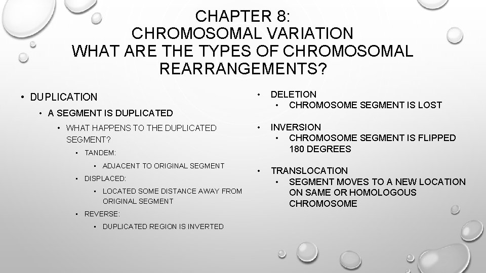 CHAPTER 8: CHROMOSOMAL VARIATION WHAT ARE THE TYPES OF CHROMOSOMAL REARRANGEMENTS? • DUPLICATION •