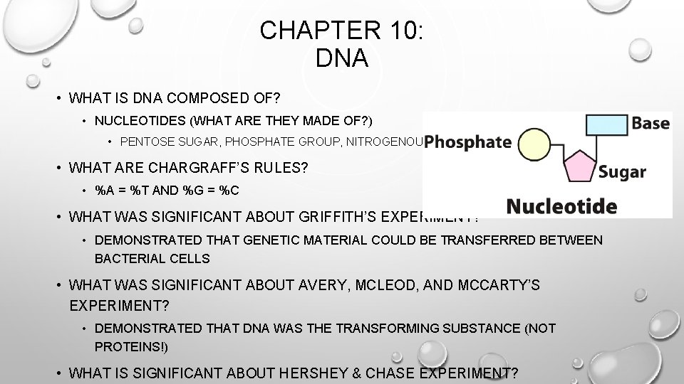 CHAPTER 10: DNA • WHAT IS DNA COMPOSED OF? • NUCLEOTIDES (WHAT ARE THEY