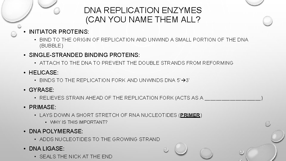 DNA REPLICATION ENZYMES (CAN YOU NAME THEM ALL? • INITIATOR PROTEINS: • BIND TO