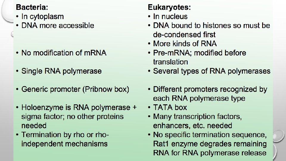 HOW DOES TRANSCRIPTION DIFFER IN BACTERIA AND EUKARYOTES? 