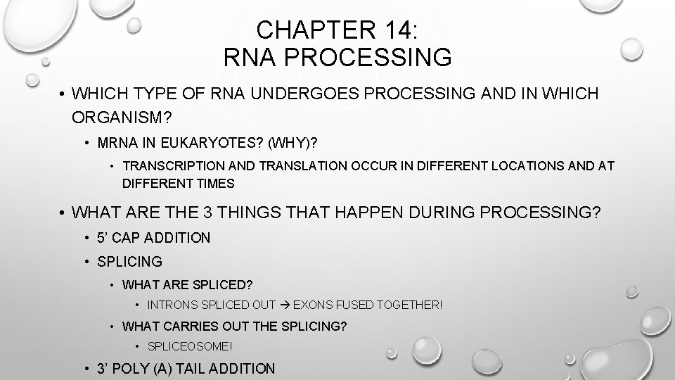 CHAPTER 14: RNA PROCESSING • WHICH TYPE OF RNA UNDERGOES PROCESSING AND IN WHICH