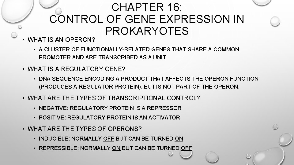 CHAPTER 16: CONTROL OF GENE EXPRESSION IN PROKARYOTES • WHAT IS AN OPERON? •