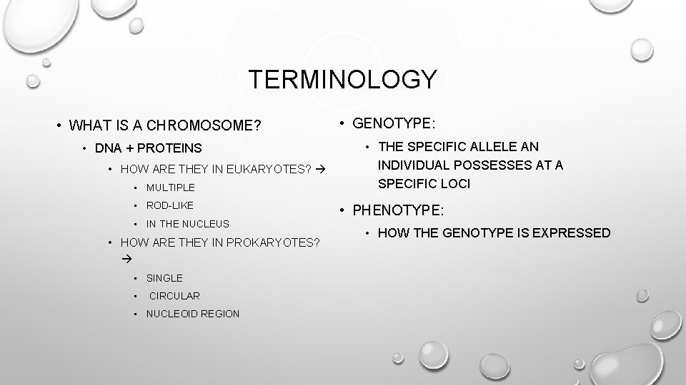 TERMINOLOGY • WHAT IS A CHROMOSOME? • DNA + PROTEINS • HOW ARE THEY