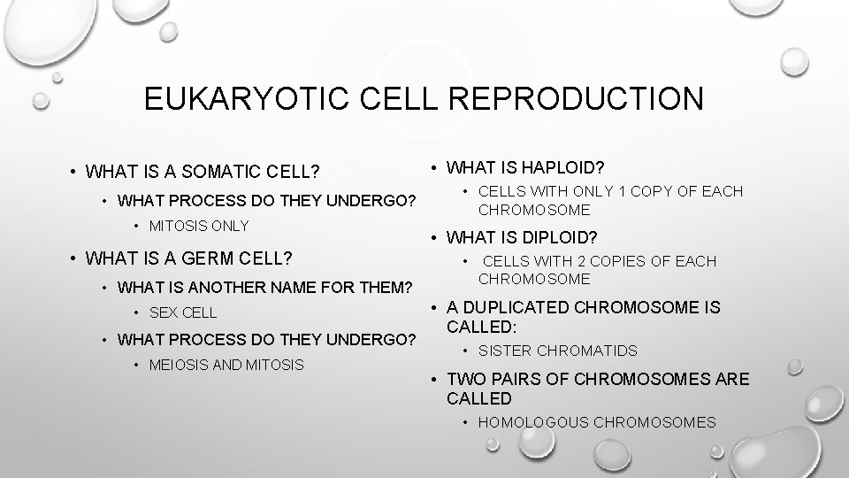 EUKARYOTIC CELL REPRODUCTION • WHAT IS A SOMATIC CELL? • WHAT PROCESS DO THEY