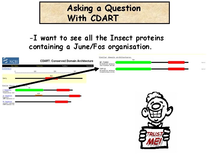 Asking a Question With CDART -I want to see all the Insect proteins containing