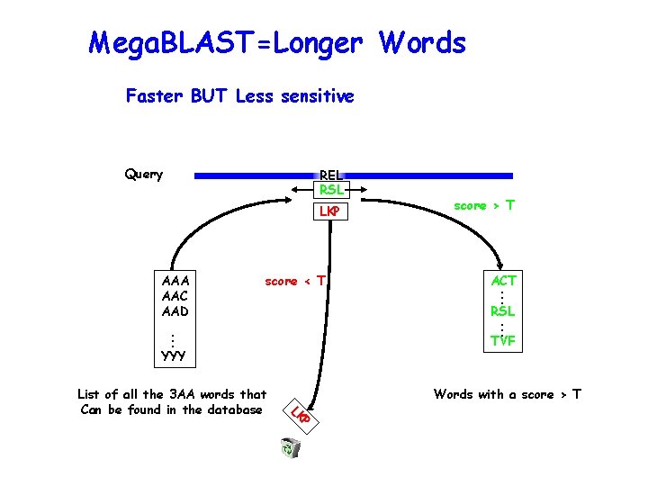 Mega. BLAST=Longer Words Faster BUT Less sensitive Query REL RSL LKP score < T