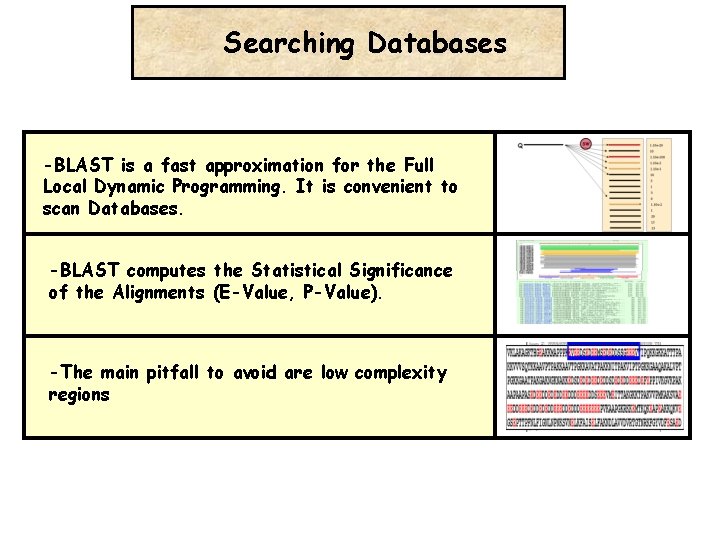 Searching Databases -BLAST is a fast approximation for the Full Local Dynamic Programming. It