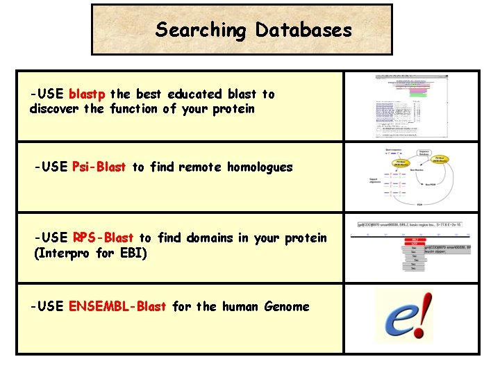 Searching Databases -USE blastp the best educated blast to discover the function of your