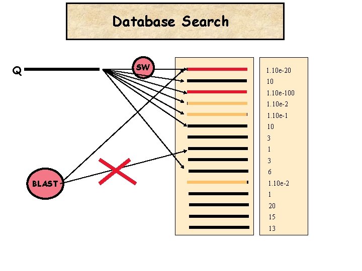 Database Search SW Q 1. 10 e-20 10 1. 10 e-100 1. 10 e-2
