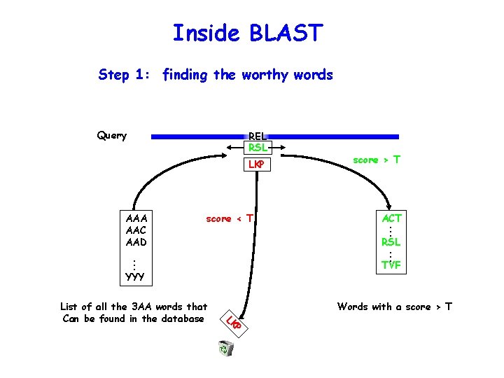 Inside BLAST Step 1: finding the worthy words Query REL RSL LKP score <