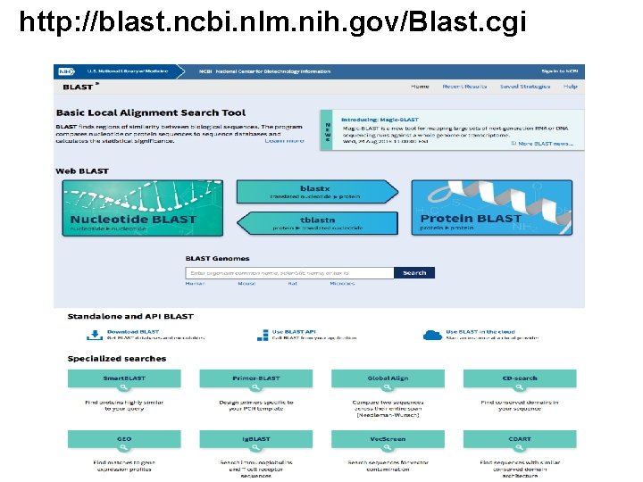 http: //blast. ncbi. nlm. nih. gov/Blast. cgi 