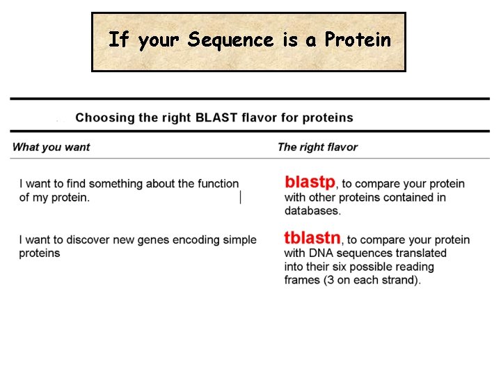 If your Sequence is a Protein 