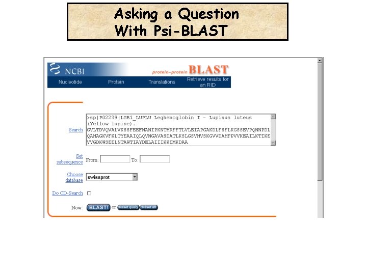 Asking a Question With Psi-BLAST 