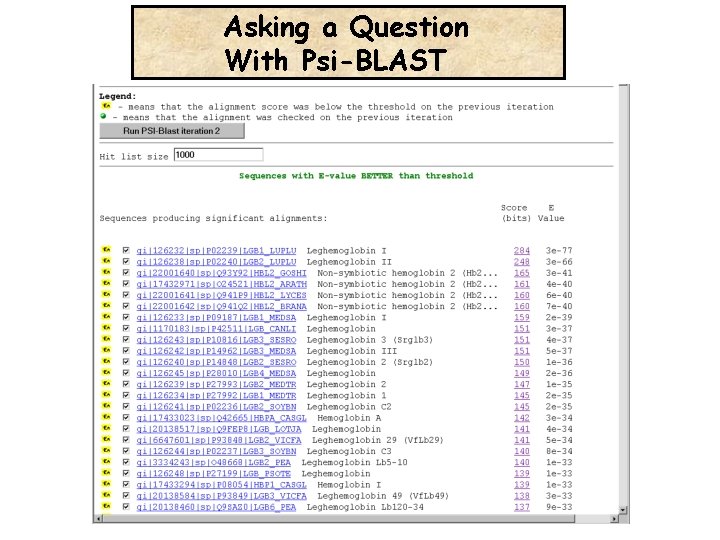 Asking a Question With Psi-BLAST 