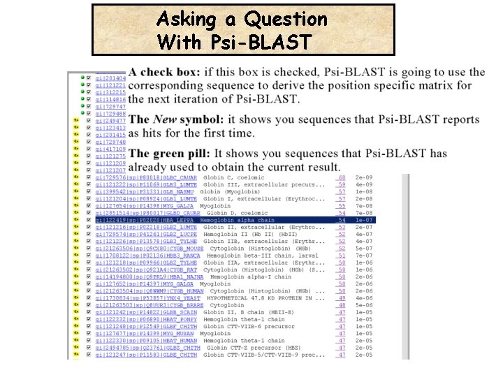 Asking a Question With Psi-BLAST 