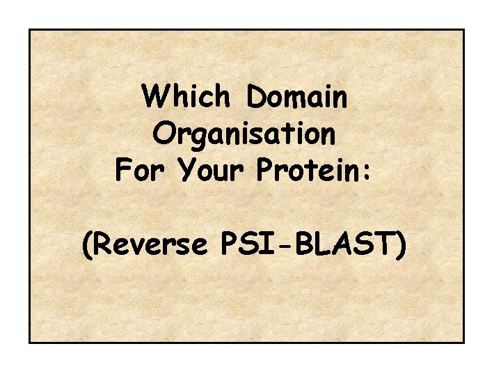 Which Domain Organisation For Your Protein: (Reverse PSI-BLAST) 