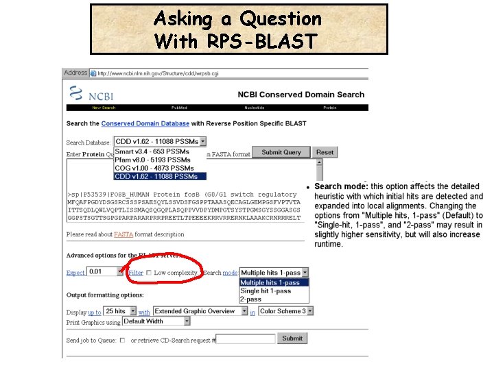 Asking a Question With RPS-BLAST 