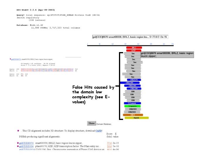 False Hits caused by the domain low complexity (see Evalues) 